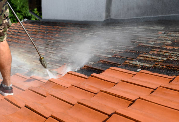 Best Pressure Washing Near Me  in Leachville, AR