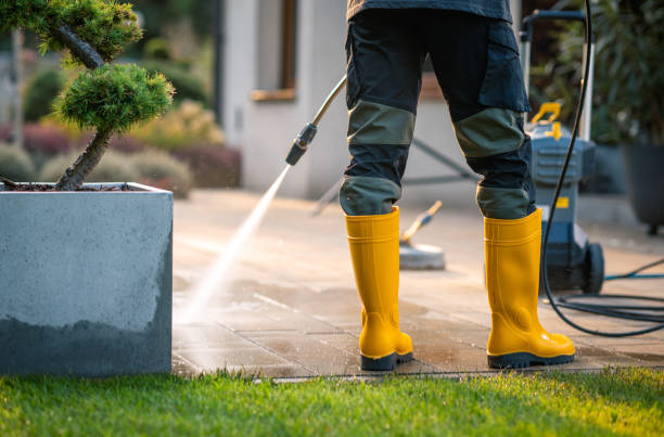 Professional Pressure Washing in Leachville, AR